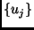 $ \{u_j\} $